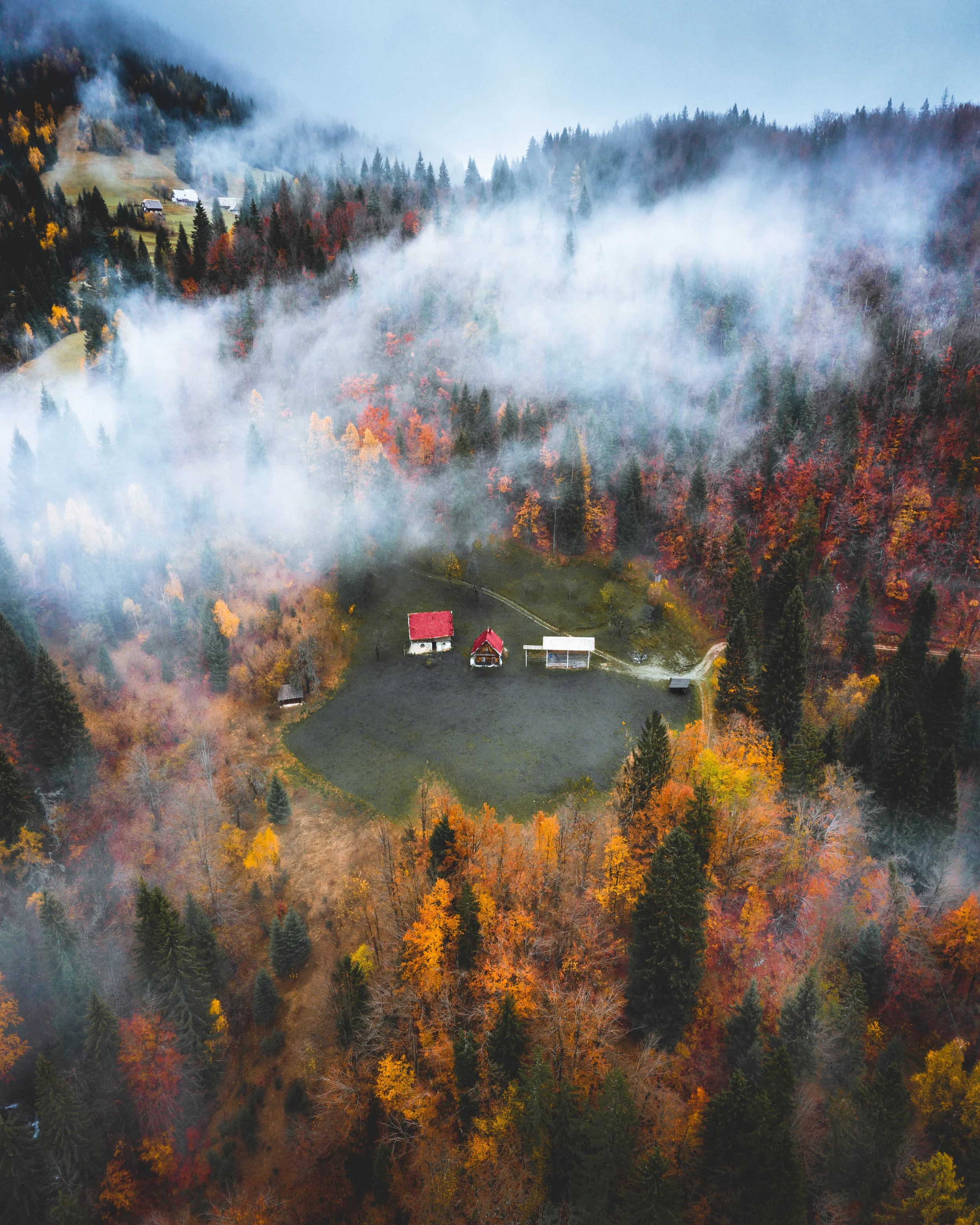 website cabon fall.jpg