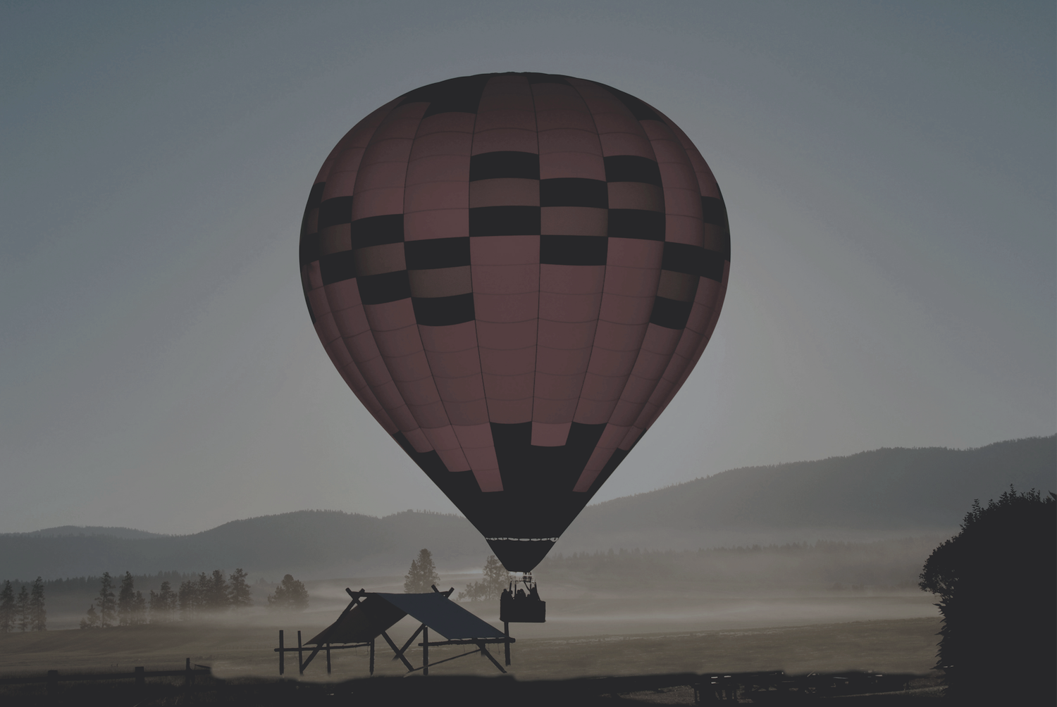 Paws Up Balloon.png