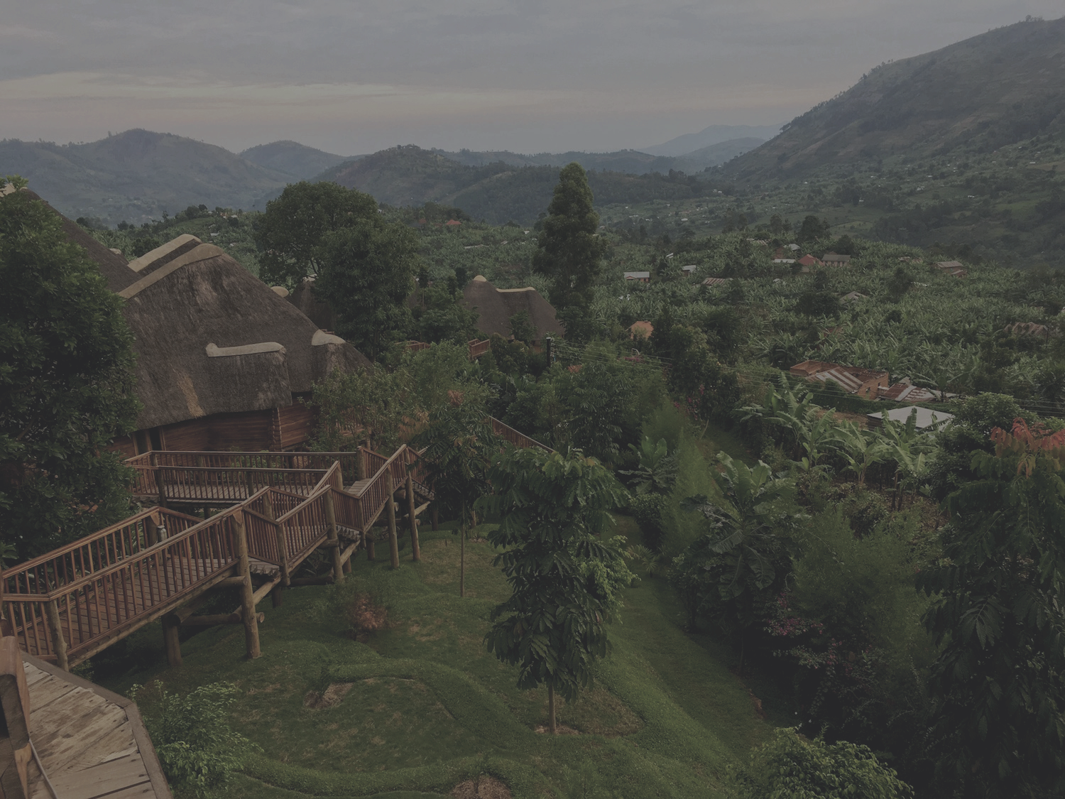 Bwindi National Park.png