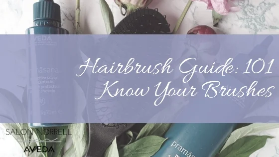 Hairbrush Guide: 101