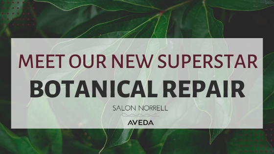 AVEDA'S NEW SUPERSTAR: BOTANICAL REPAIR