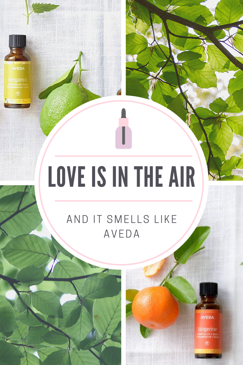 LOVE is in the air... & it smells like AVEDA