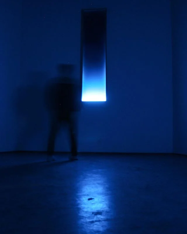 &ldquo;Envelop(e)&rdquo;
Working through appropriation of nature, my attempts to insert external components into interior spaces.  This being dusk inserted into the space of stained glass. Environmental installation. 
#art #sculpture #installation #i