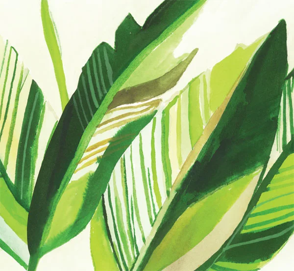 banana-leaf.jpg