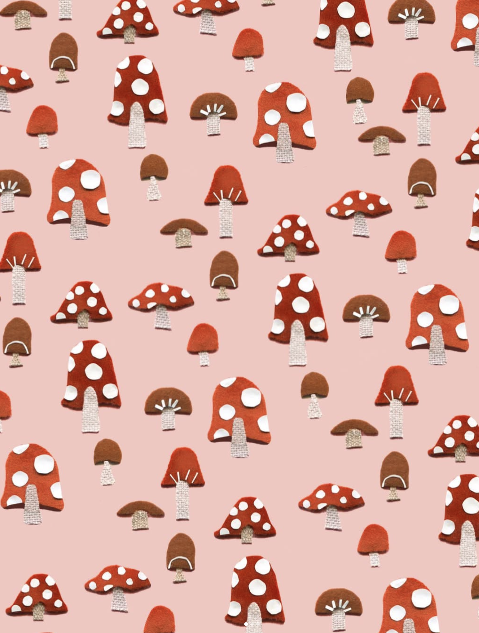 Screenshot 2026-02-18 at 12.45.13 PM.png