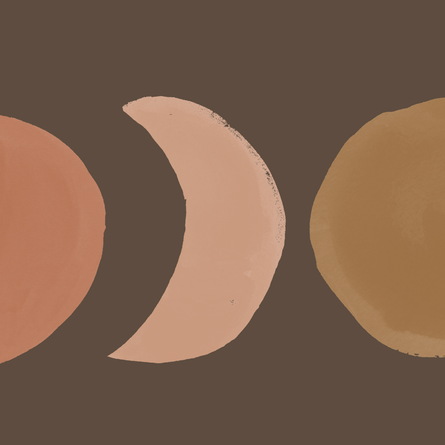 Screenshot 2026-02-18 at 11.35.05 AM.png