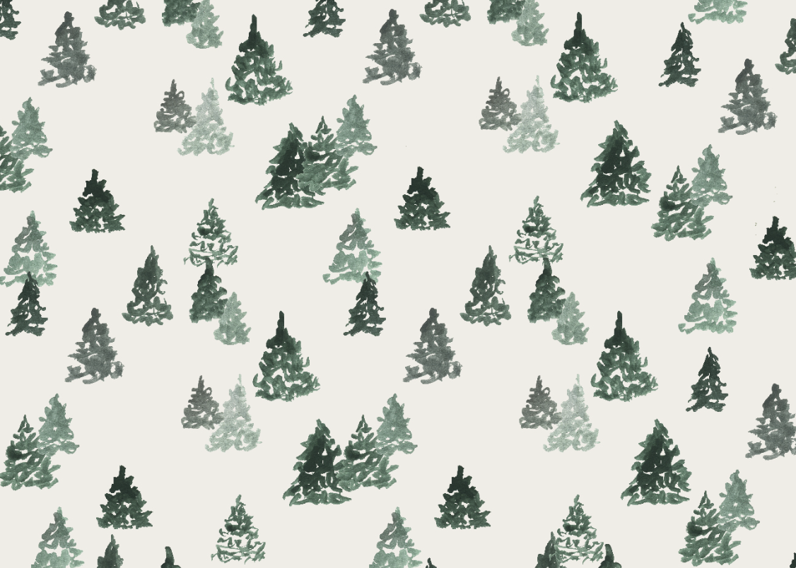 Screenshot 2026-02-18 at 11.20.44 AM.png