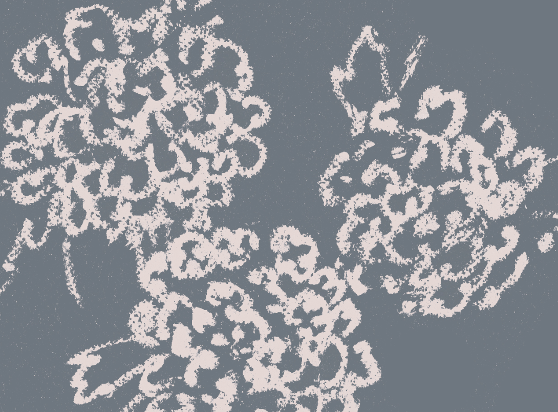 Screenshot 2026-02-18 at 11.28.57 AM.png