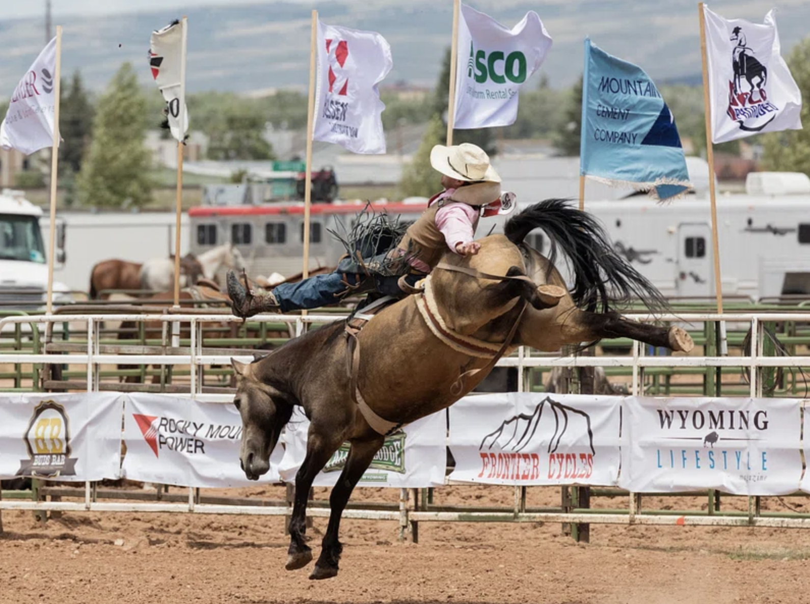 Cowboy about to be thrown of his bucking horse as part of the Houston rodeo