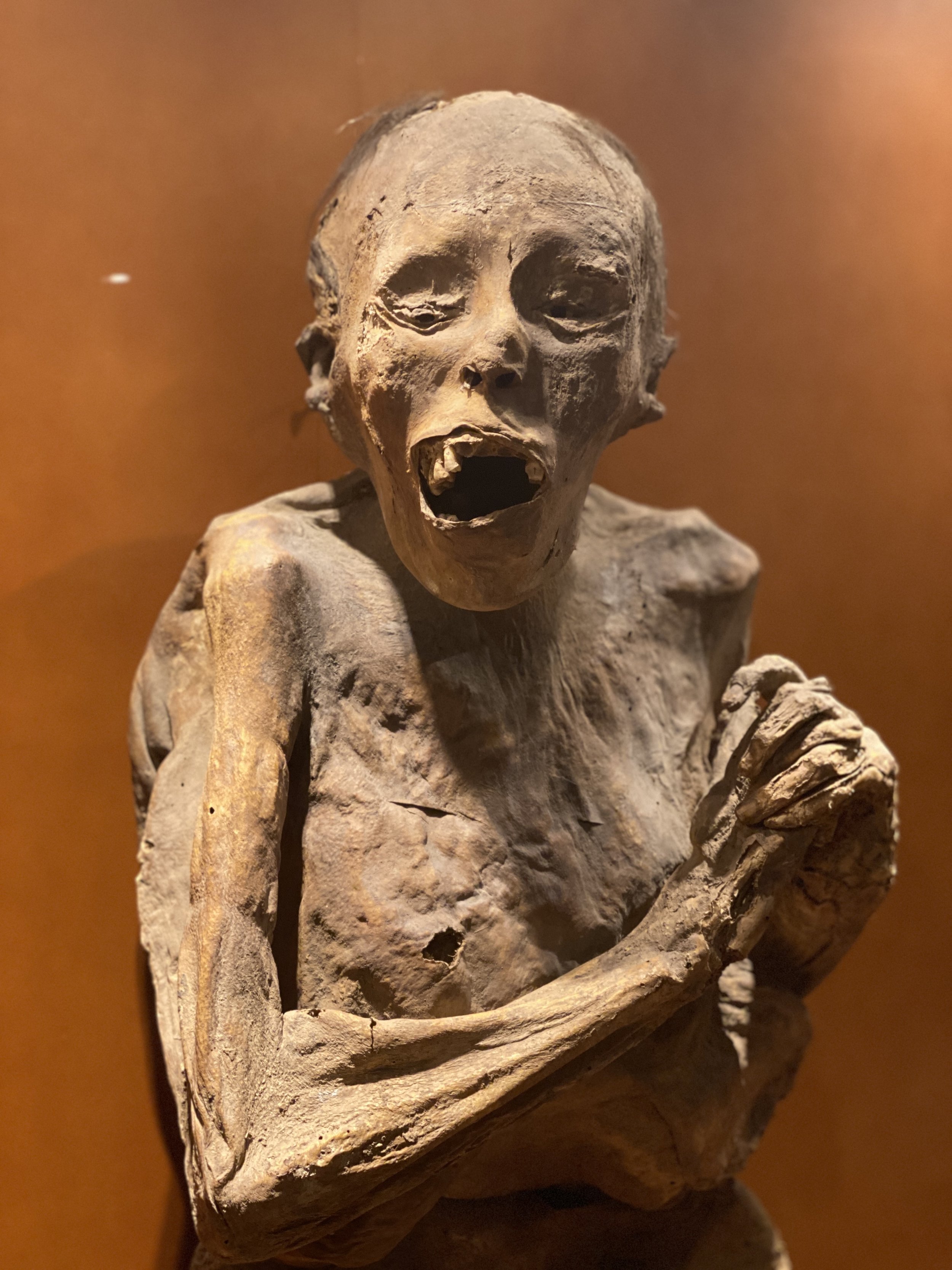 Mummy of man at Mummy of baby in dress at the Mummy Museum of Guanajuato