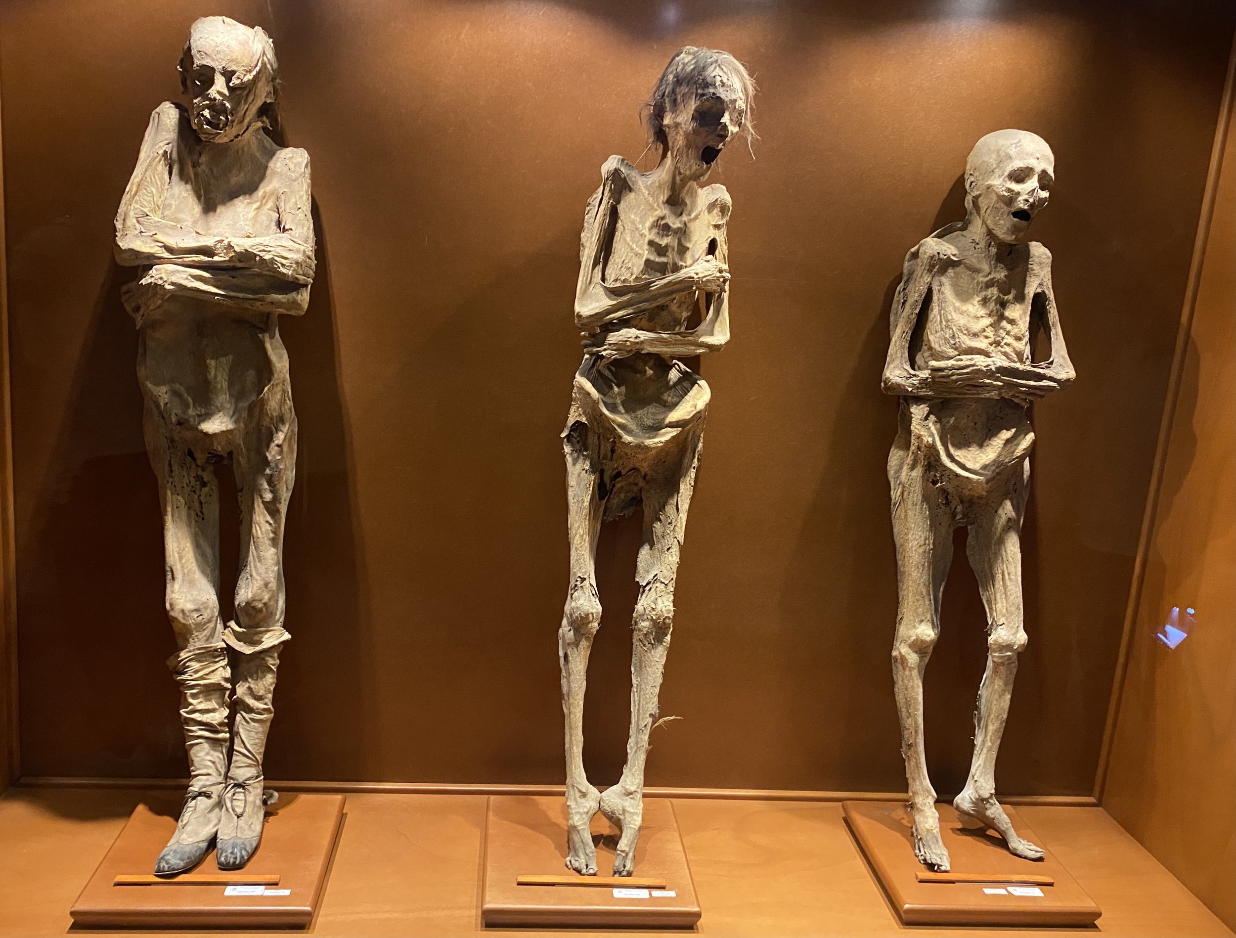 Trio of mummies at Mummy of baby in dress at the Mummy Museum of Guanajuato