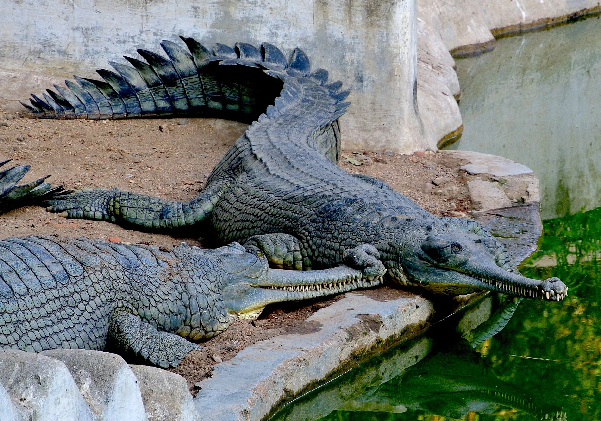 Places to Visit in Vadodara Ganesha Temple and Sayaji Baug