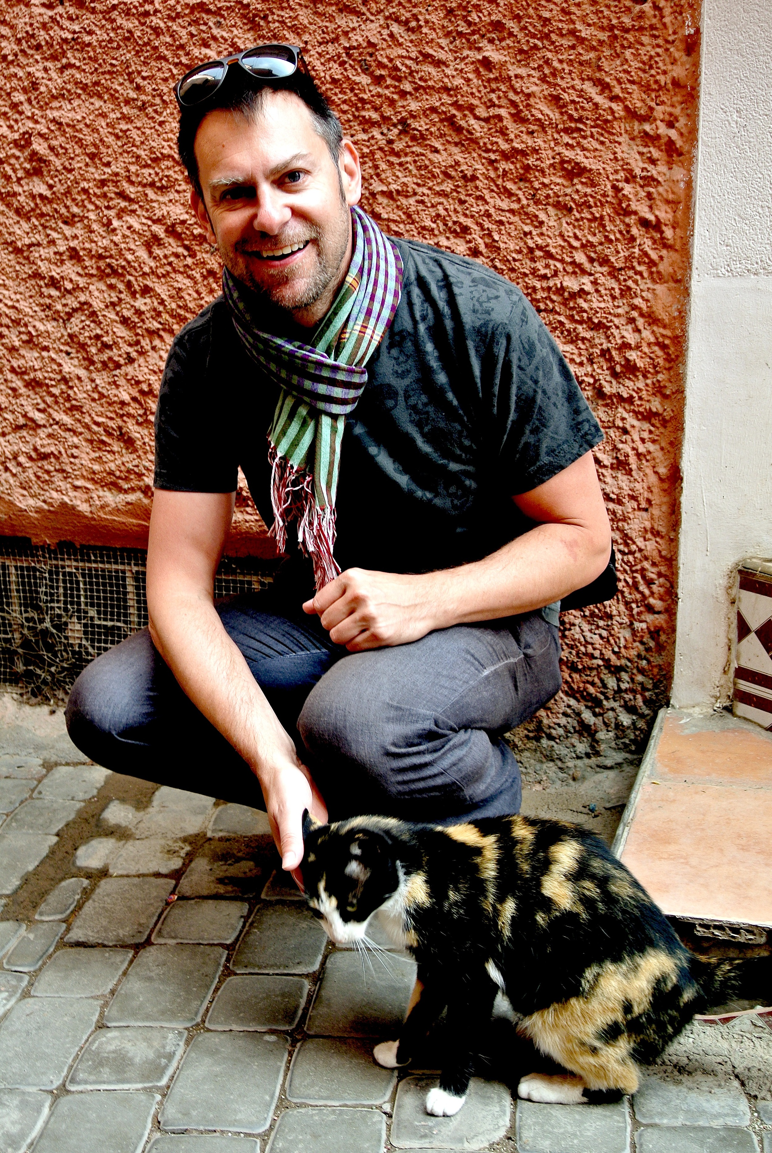 The Cats Of Marrakech