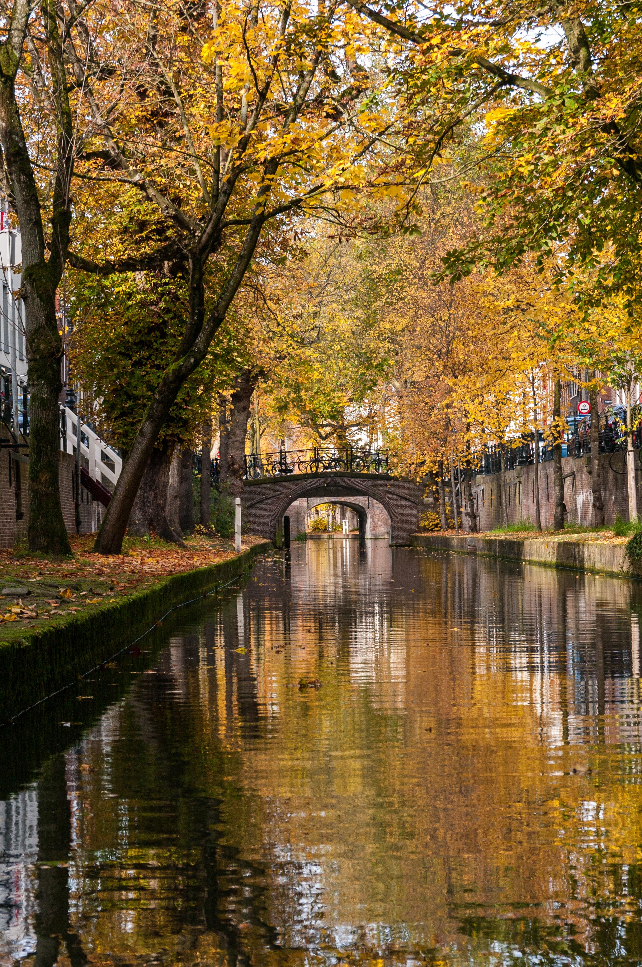 The gorgeous fall foliage along the edge of the canal in Utrecht, Netherlands