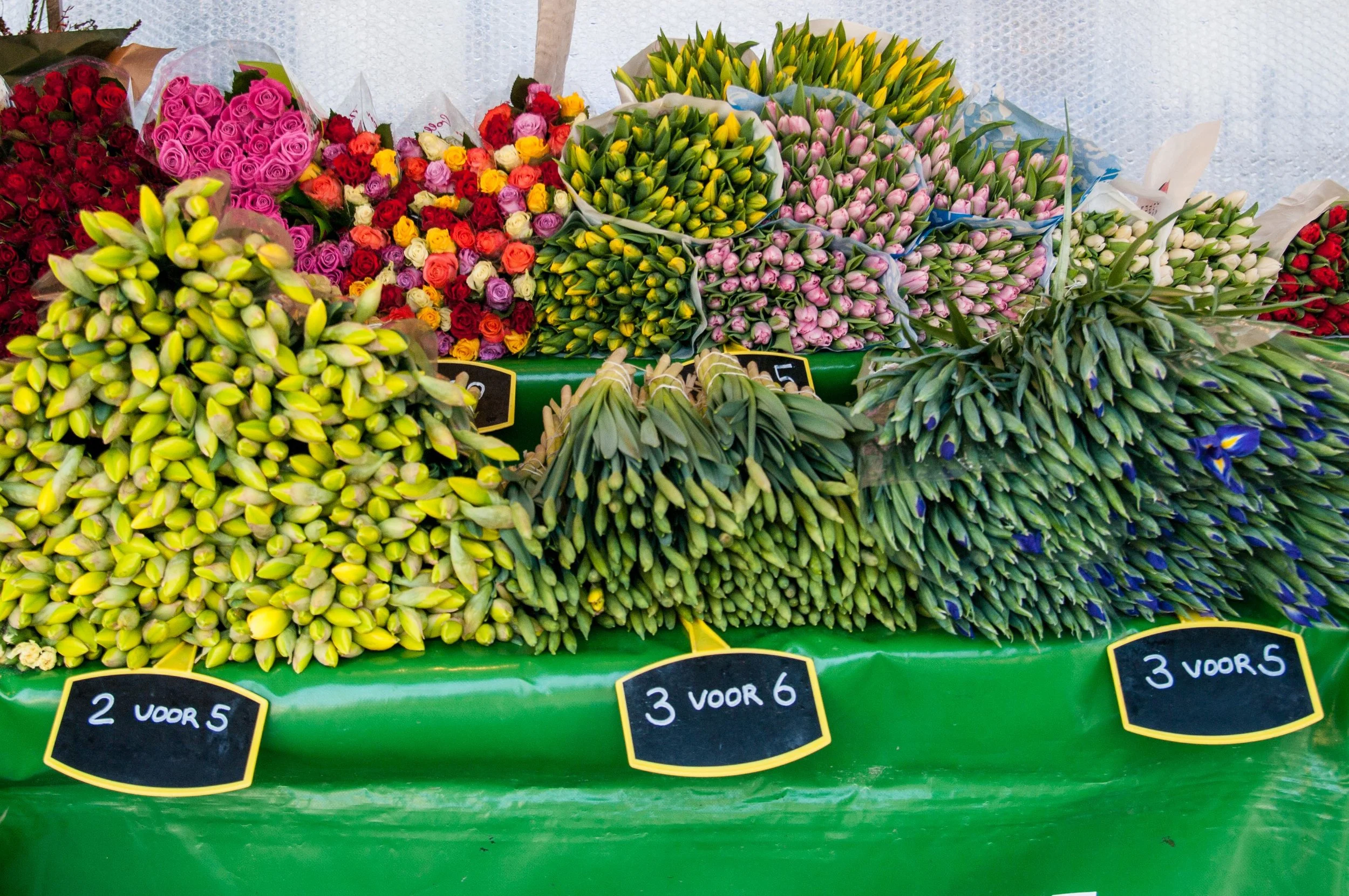 The Janskerkhof flower market is the best part about Utrecht, according to Morgan