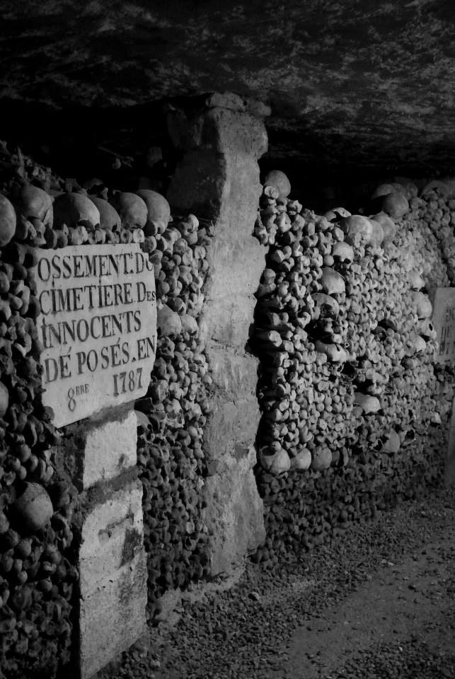 Gruesome Facts (and Helpful Tips) About the Paris — The Not