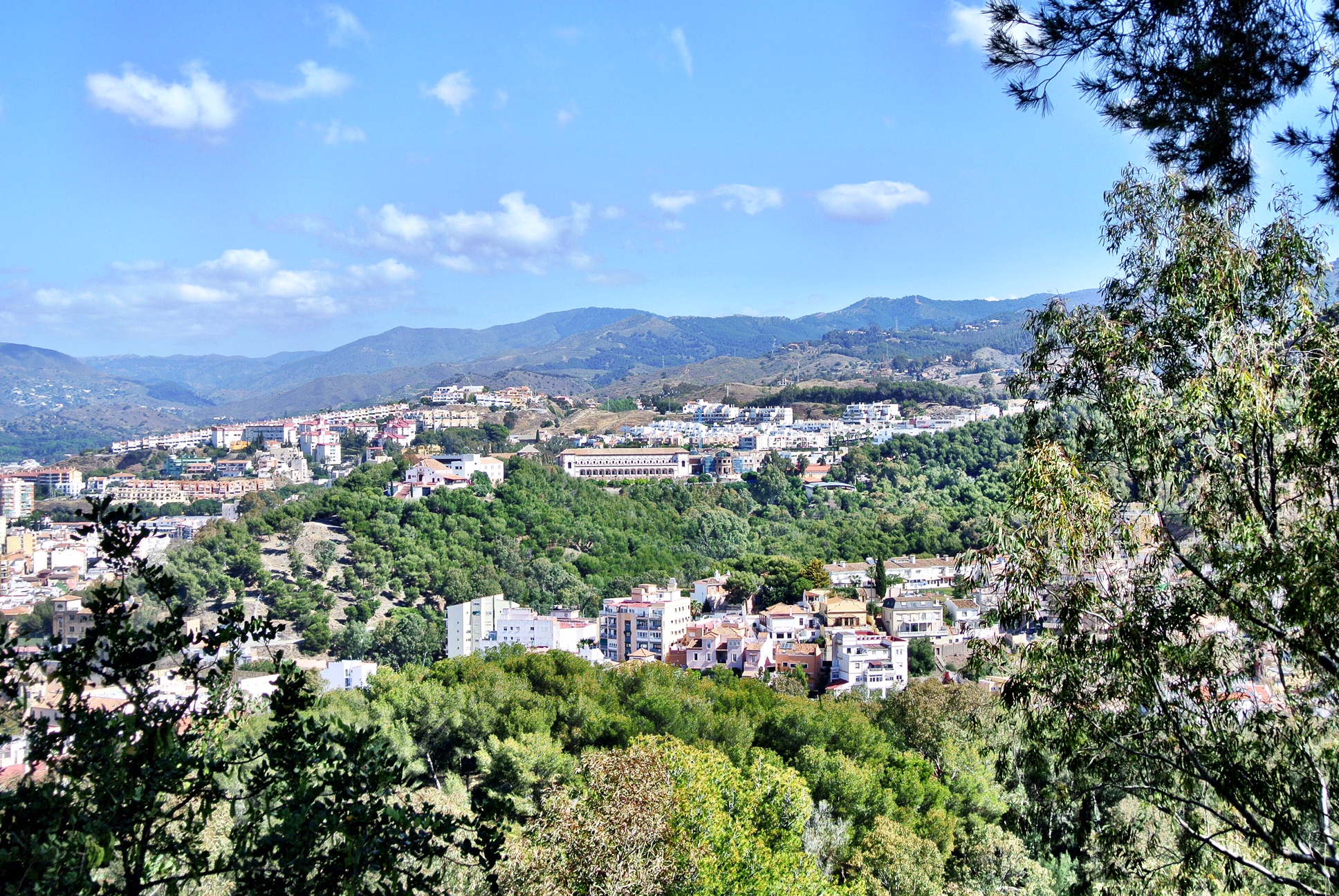 The Gibralfaro: The Most Spectacular Views in Malaga