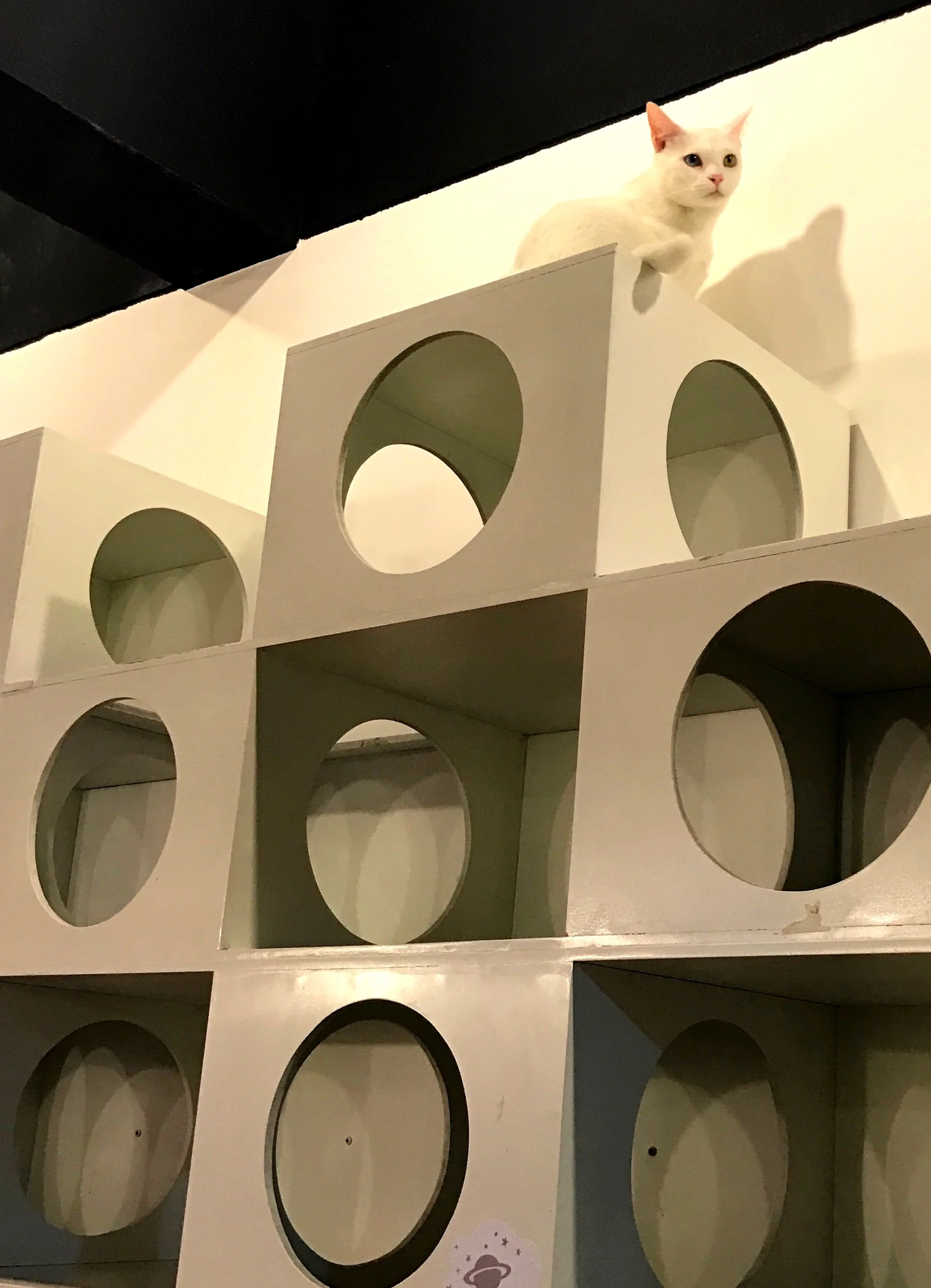 Elsa rules over her domain, a wall of cubby holes&nbsp;