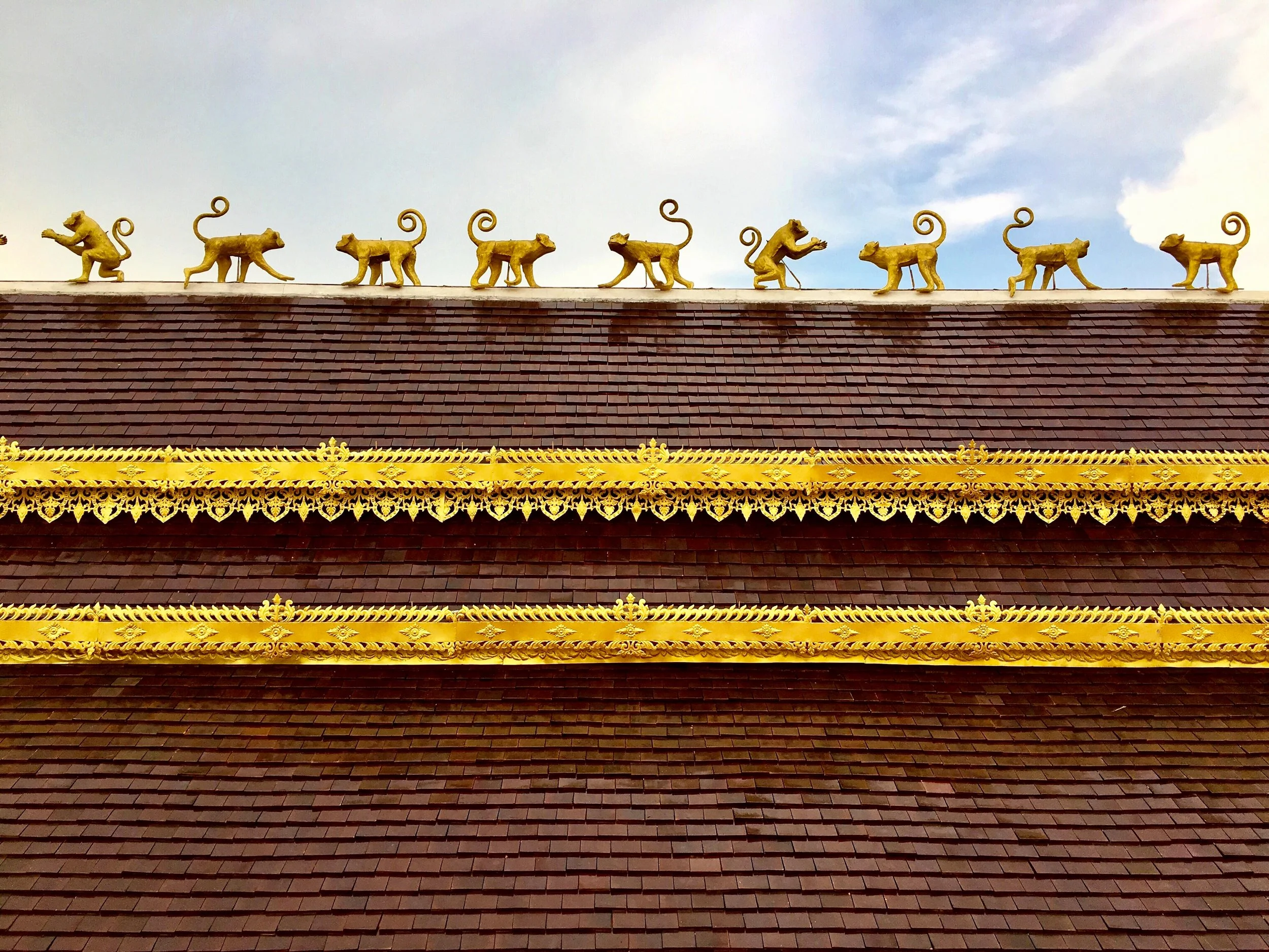 Monkeys line the sala roof