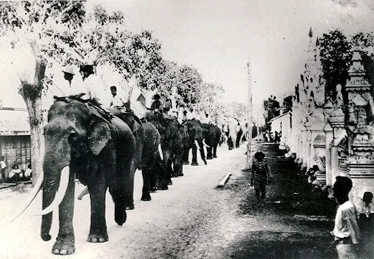 Elephants have always played an important role in Chiang Mai’s history, used for transport and as beasts of burden in the teak trade