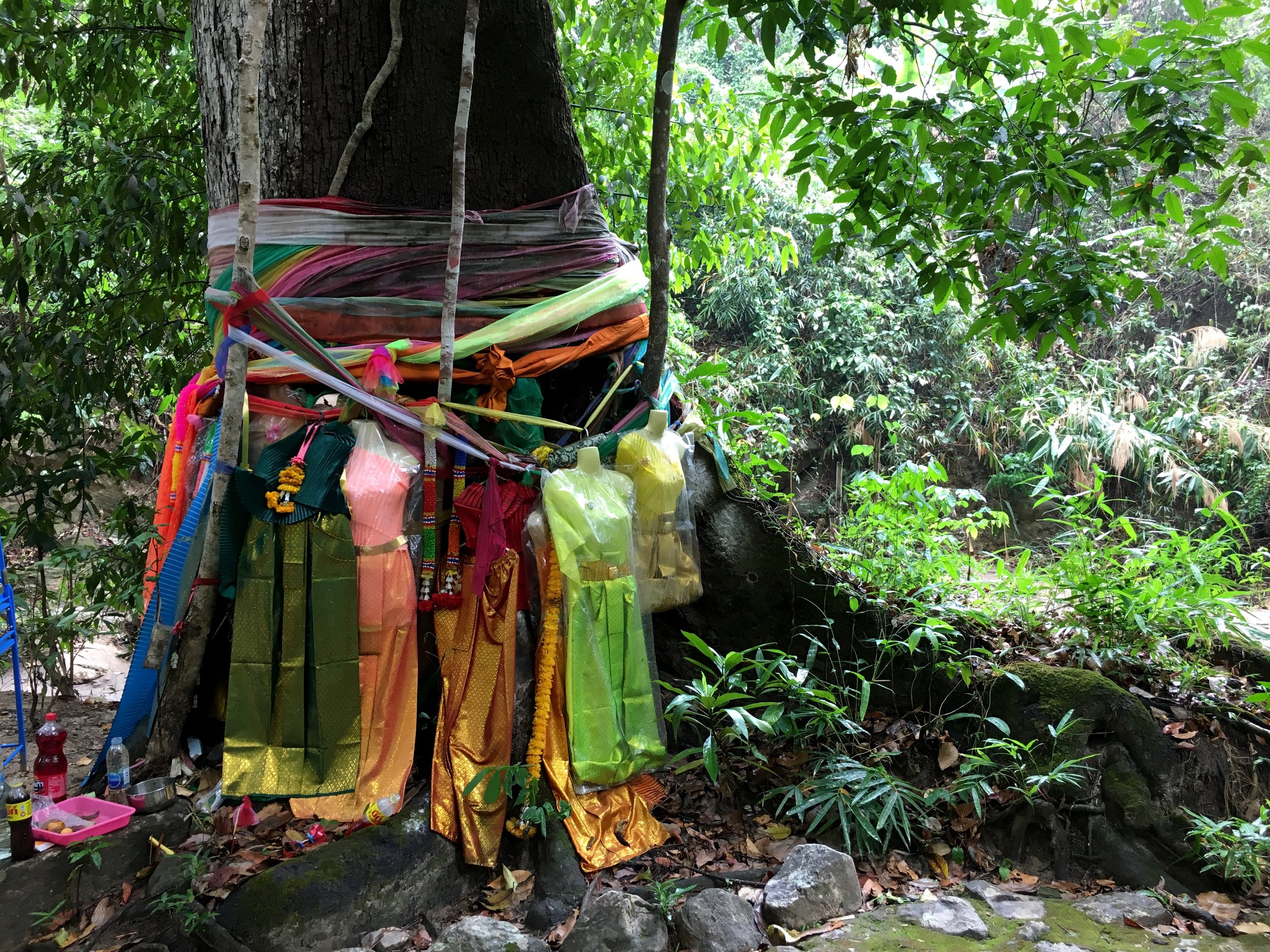 Exploring the Cultural Significance of Thailands Sacred Trees