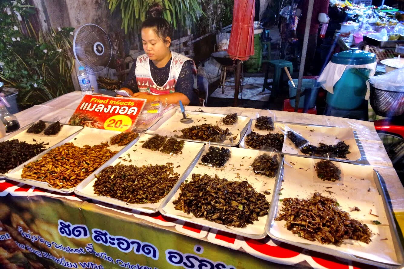 In the mood for a snack? This vendor sells a variety of crispy insects to fulfill any craving! (No, we did not partake)
