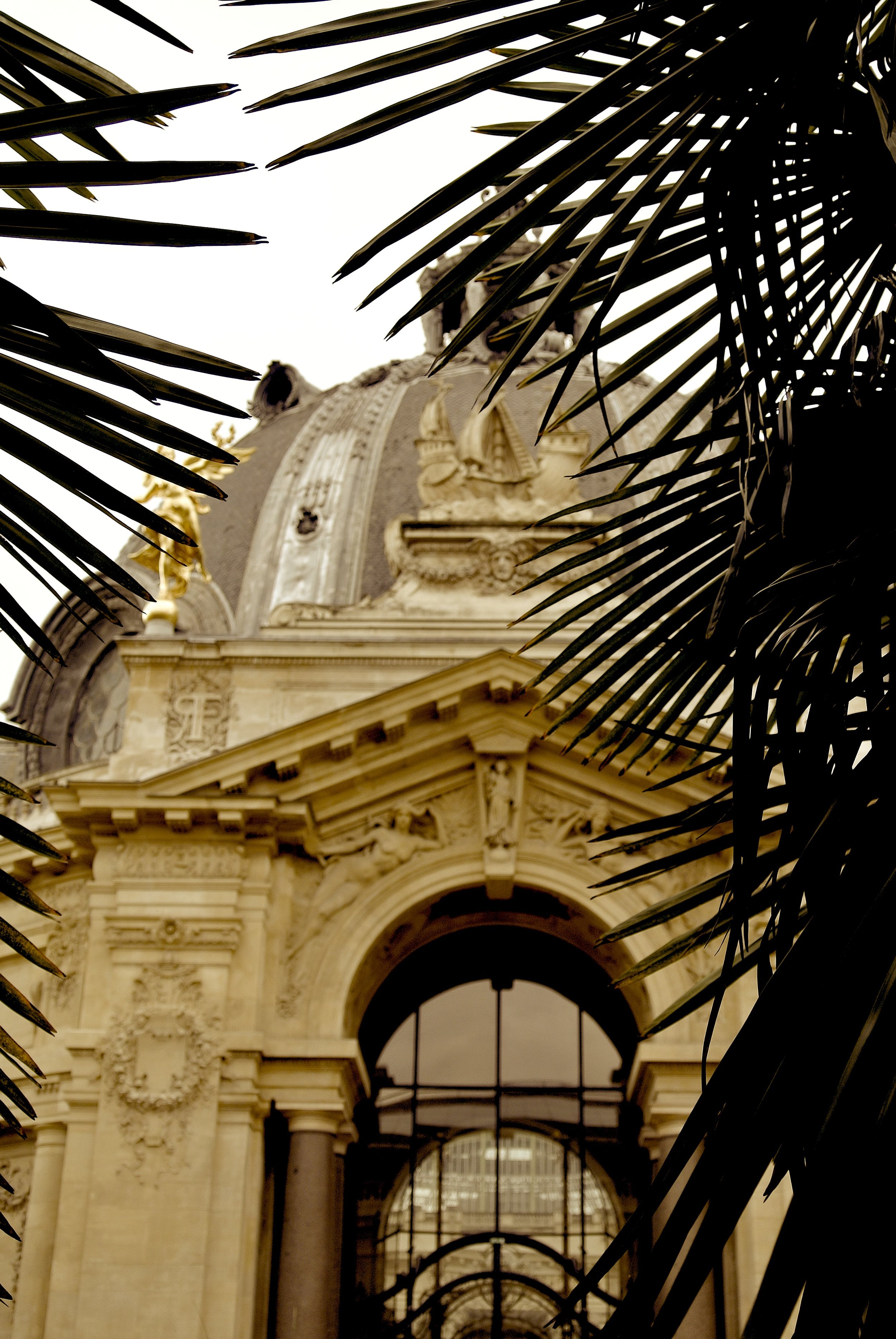 There’s a cute café in the central courtyard of the Petit Palais, along with a lush garden