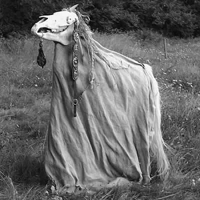 The old Mari Lwyd just ain’t what she used to be