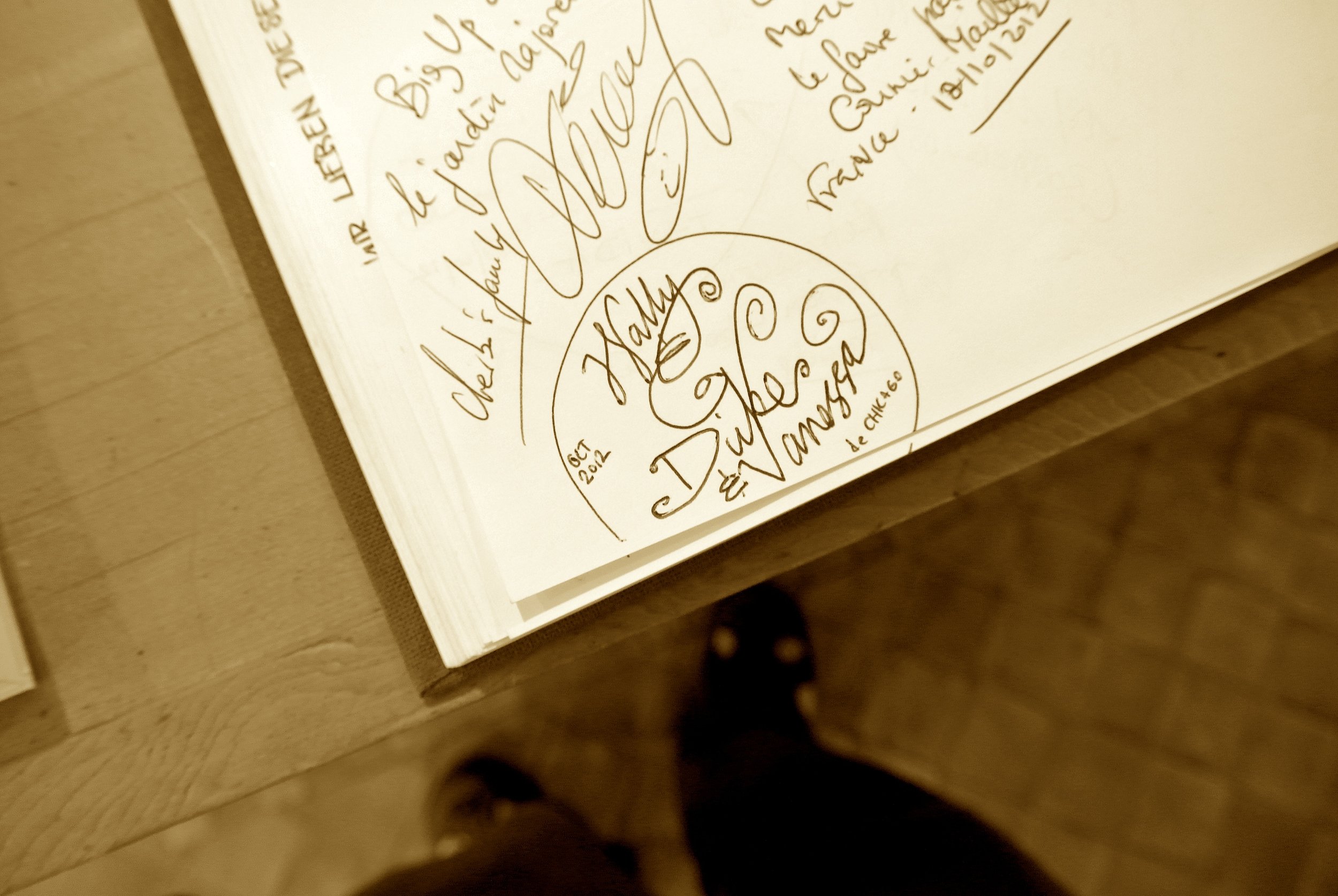 majorelleguestbook.JPG