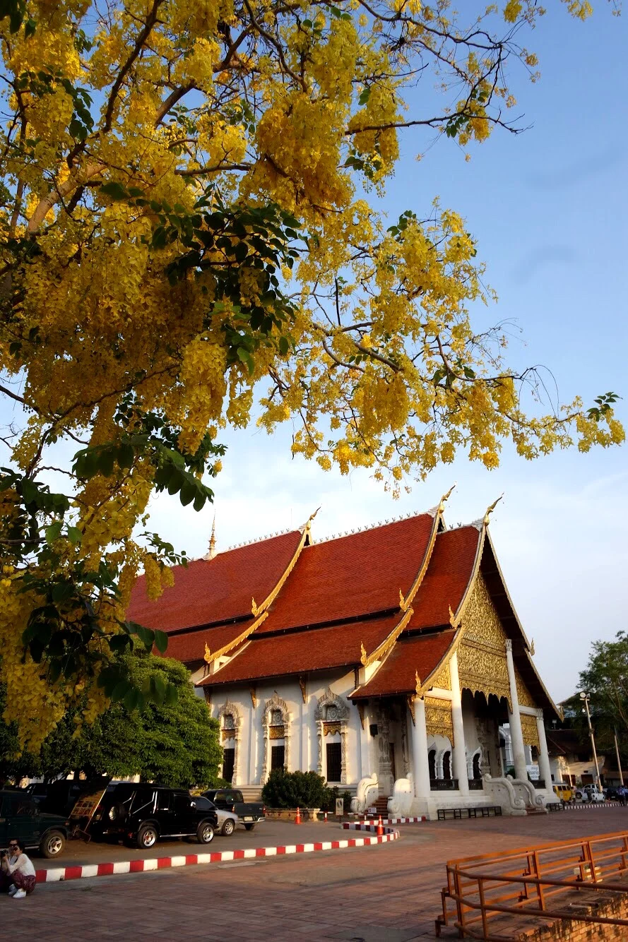 Women can go into all the buidlings on the grounds of Wat Chedi Luang, except for the one that houses the City Pillar