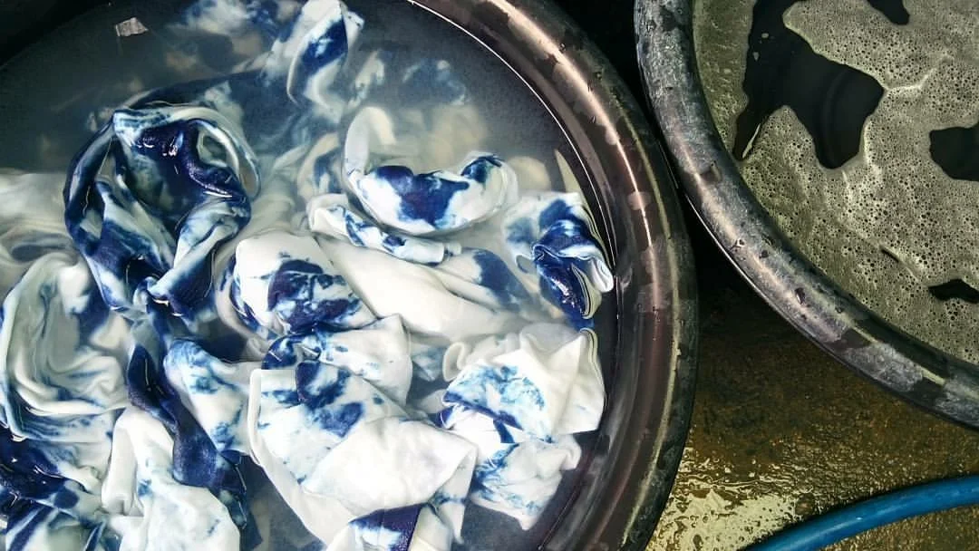 All About Indigo A Natural Color to Dye For