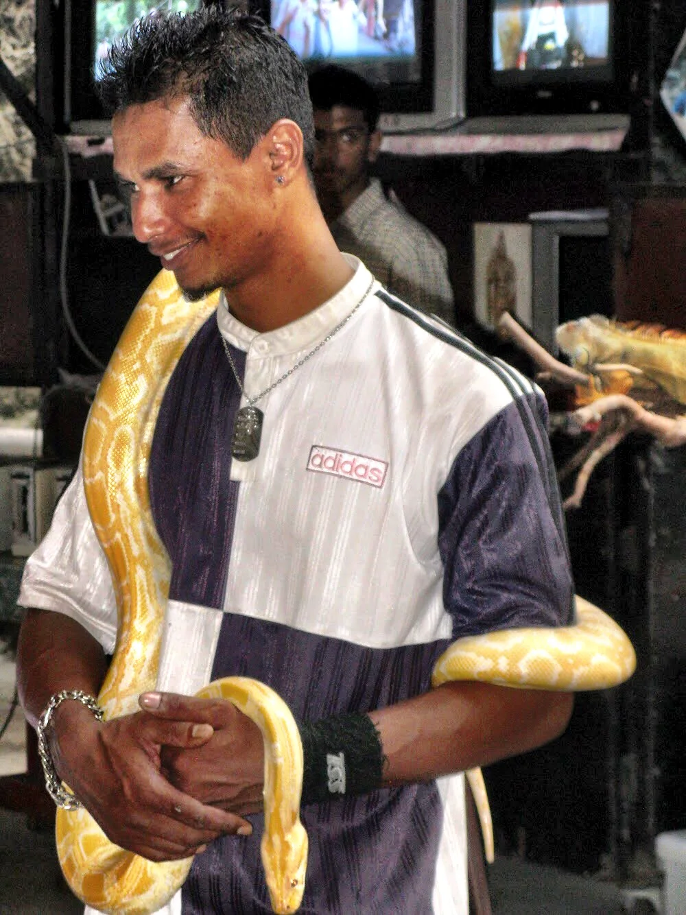 In one nook of Cathedral Cave, a man wore a snake