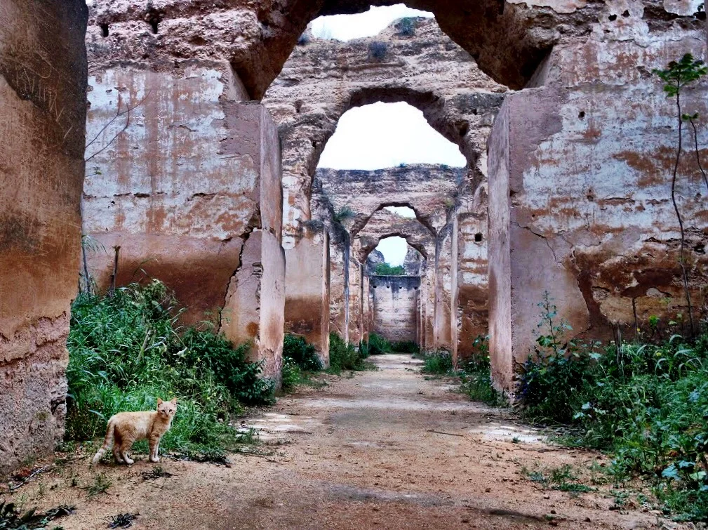 Meknès, with its ruined stables, granary, gate and markets, makes for a fun afternoon after touring the ancient Roman mosaics of Volubilis