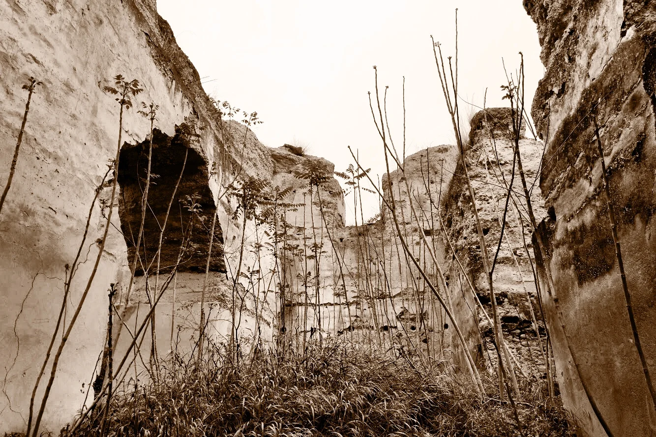 Nature has taken over the massive stable complex
