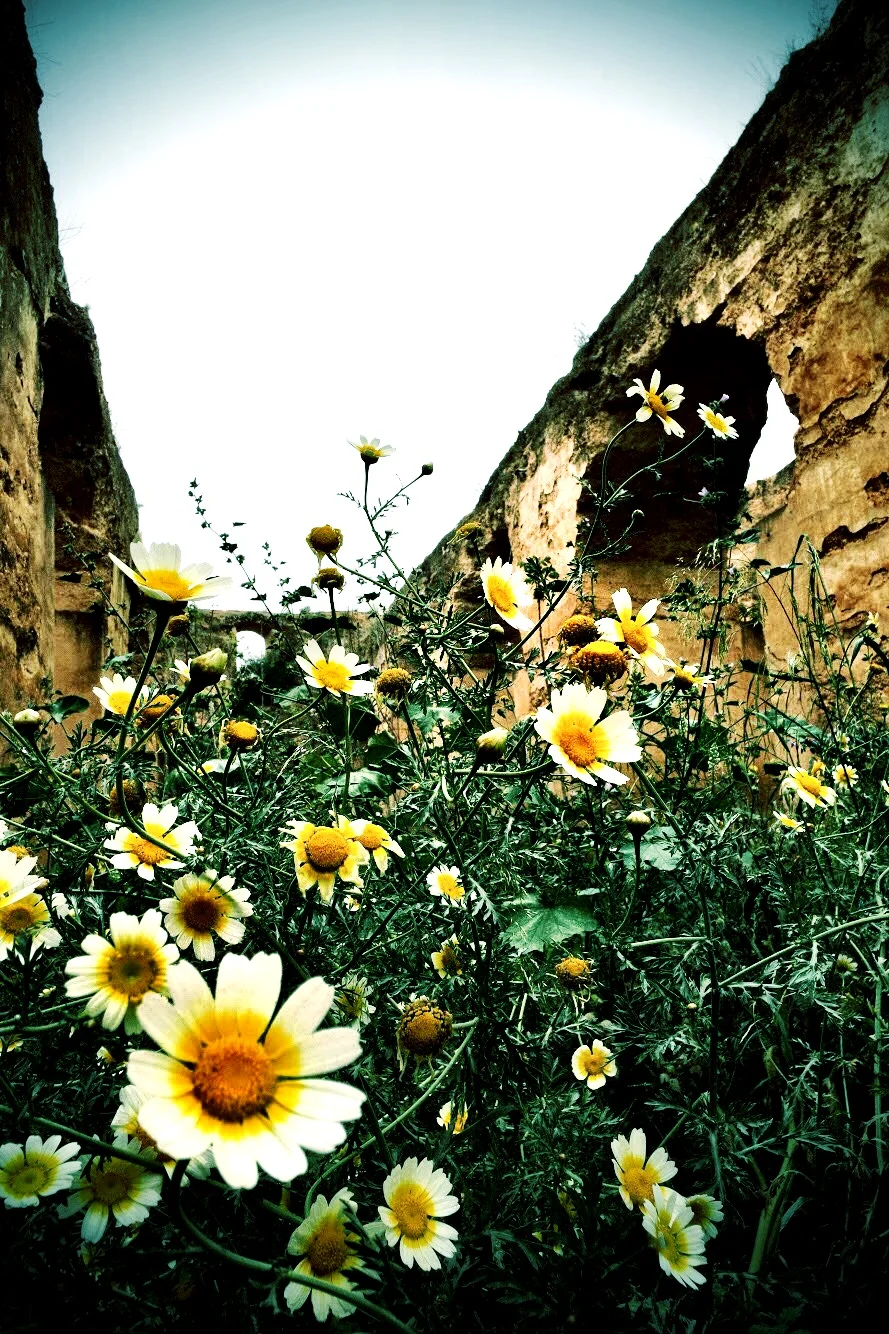The ruins of the stables are a favorite with film scouts