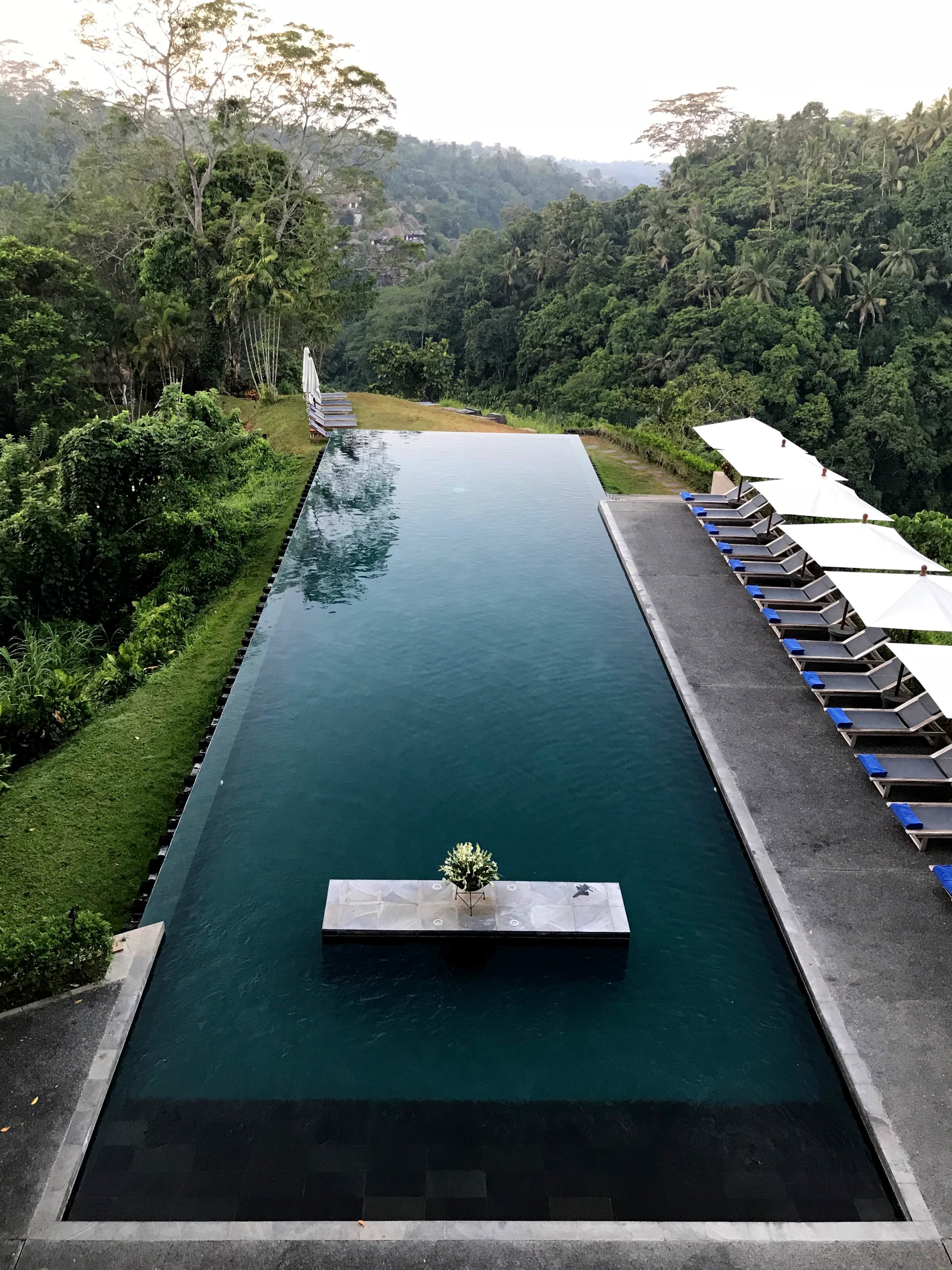 Alila Ubud: A Luxury Resort Nestled in a Jungle Valley