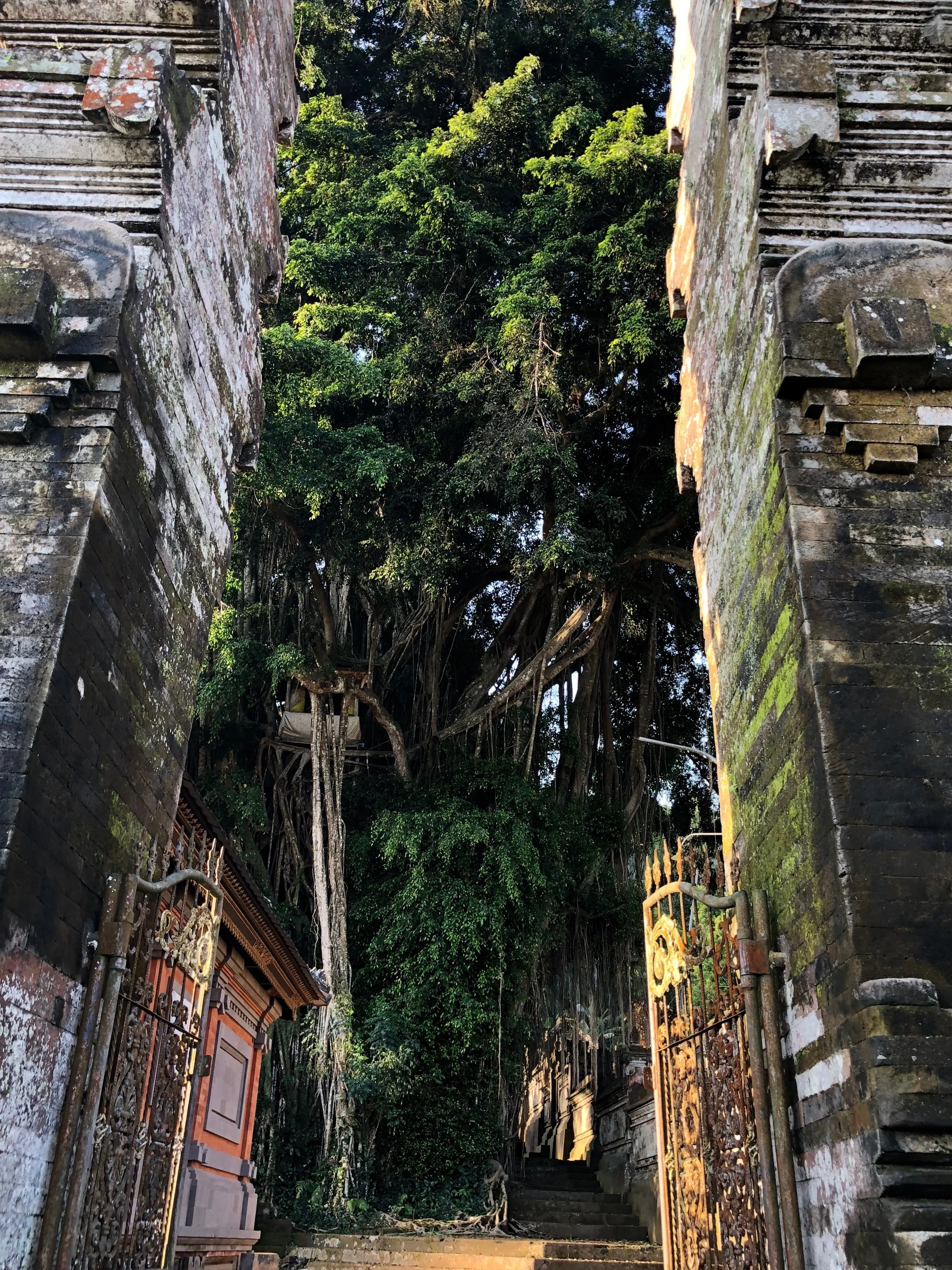 There’s no ornamentation on the interior of these gates