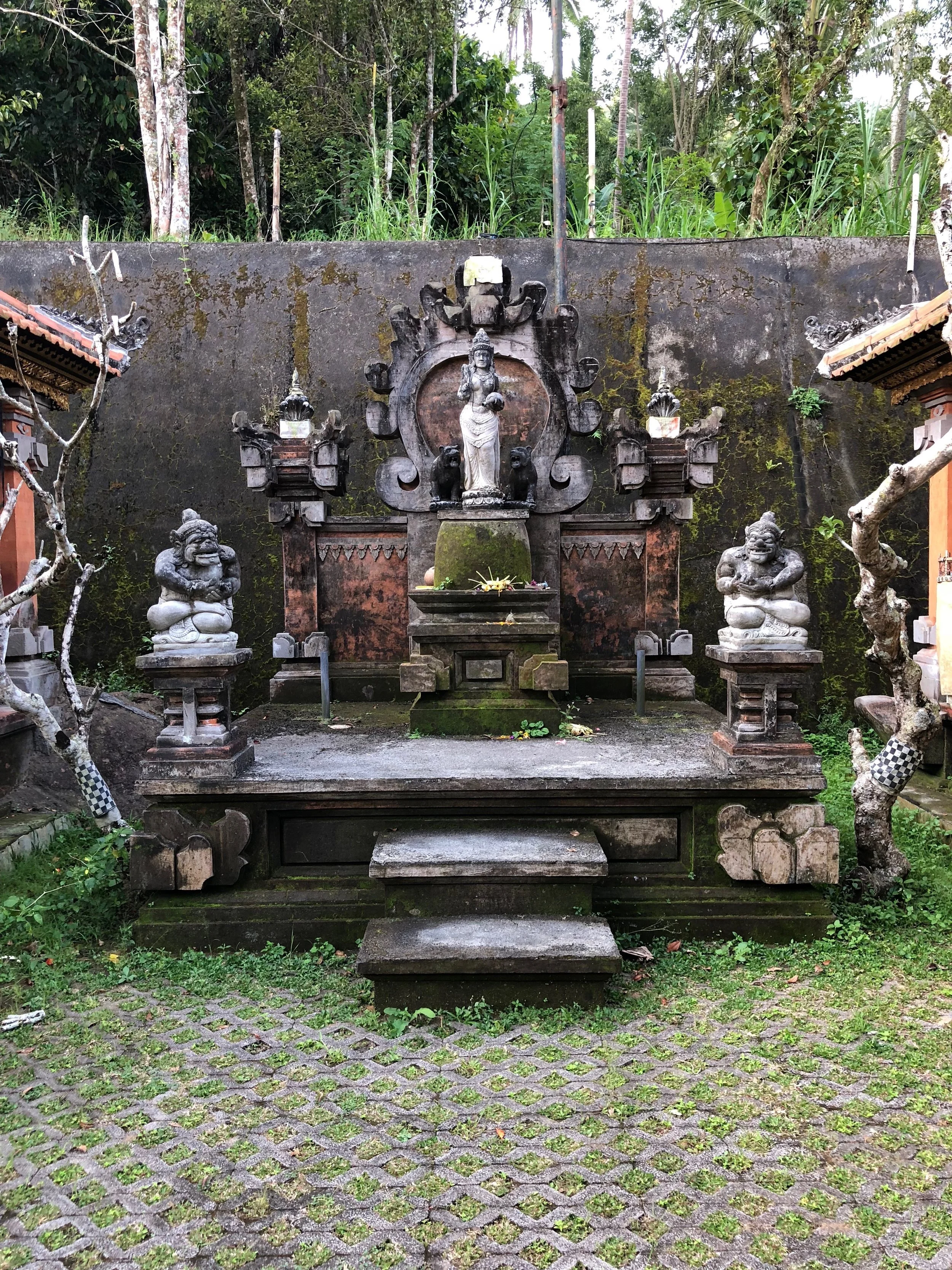 purakehencourtyard.JPG