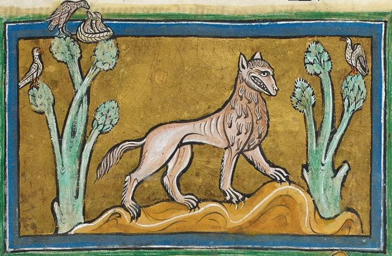 The crocotta looks like a big wolf-hyena hybrid, seen in the illuminated manuscript the Rochester Bestiary
