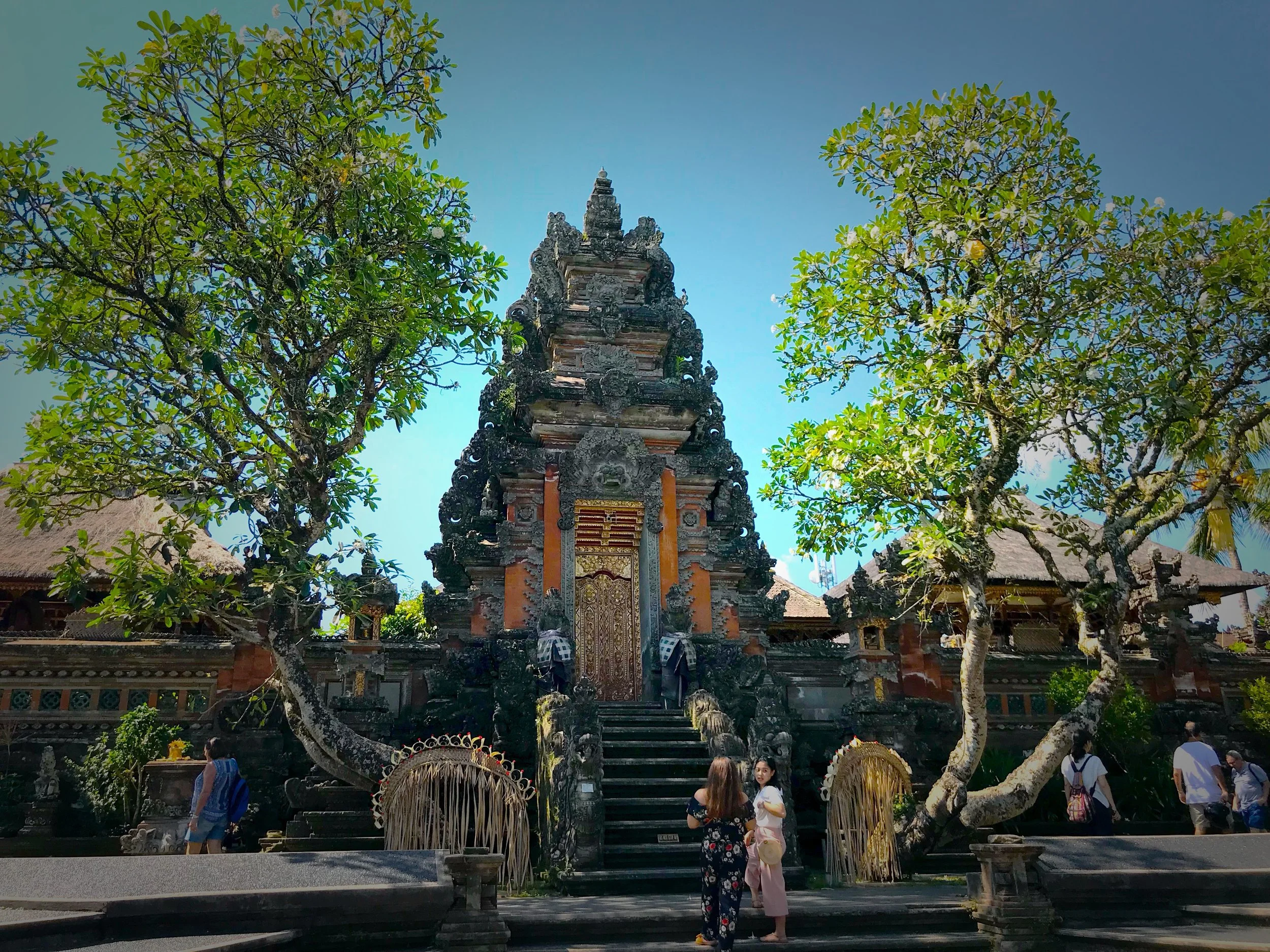 The temple is dedicated to the Hindu goddess Saraswati, patroness of learning and the arts