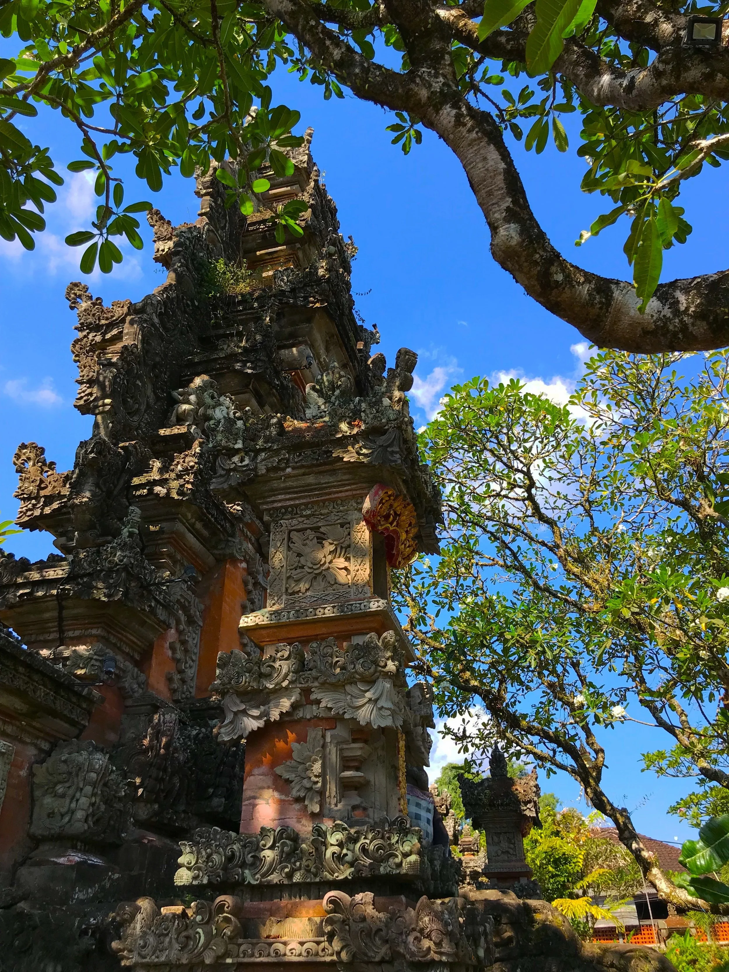 The Saraswati Temple in Ubud