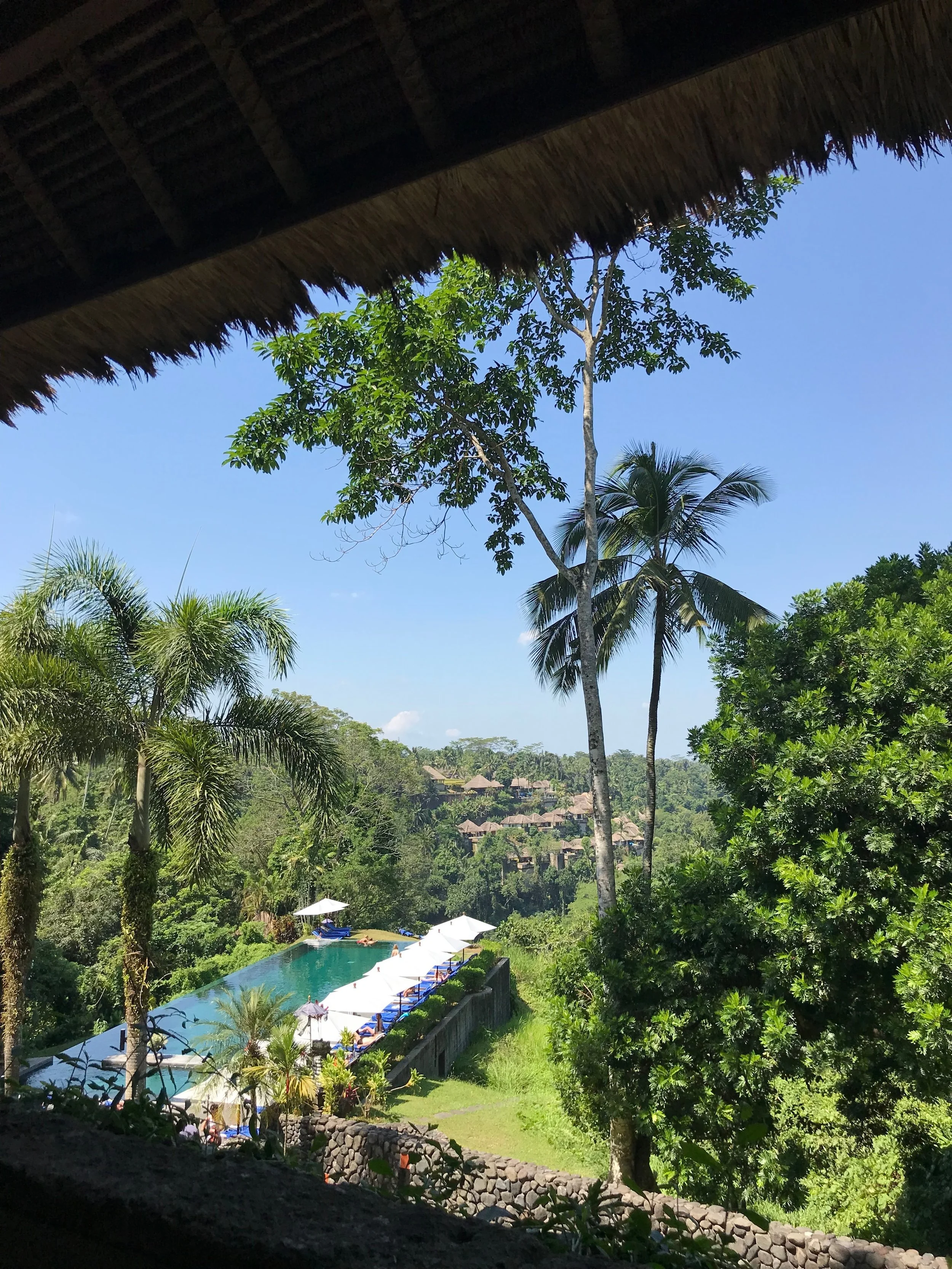 Last time, we stayed at cheap villas with hand-carved teak details for about $15 a night. This time, we went for a luxury resort