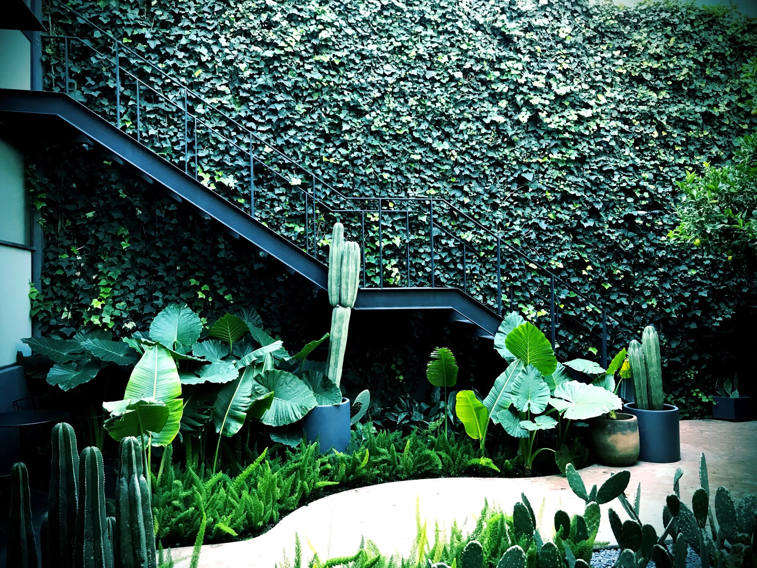 Ignacia Guest House: A Colonia Roma Gem in Mexico City