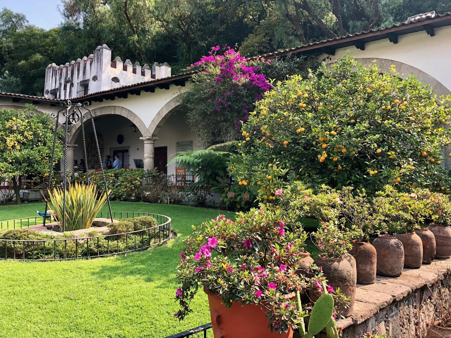 6 Reasons to Visit the Museo Dolores Olmedo