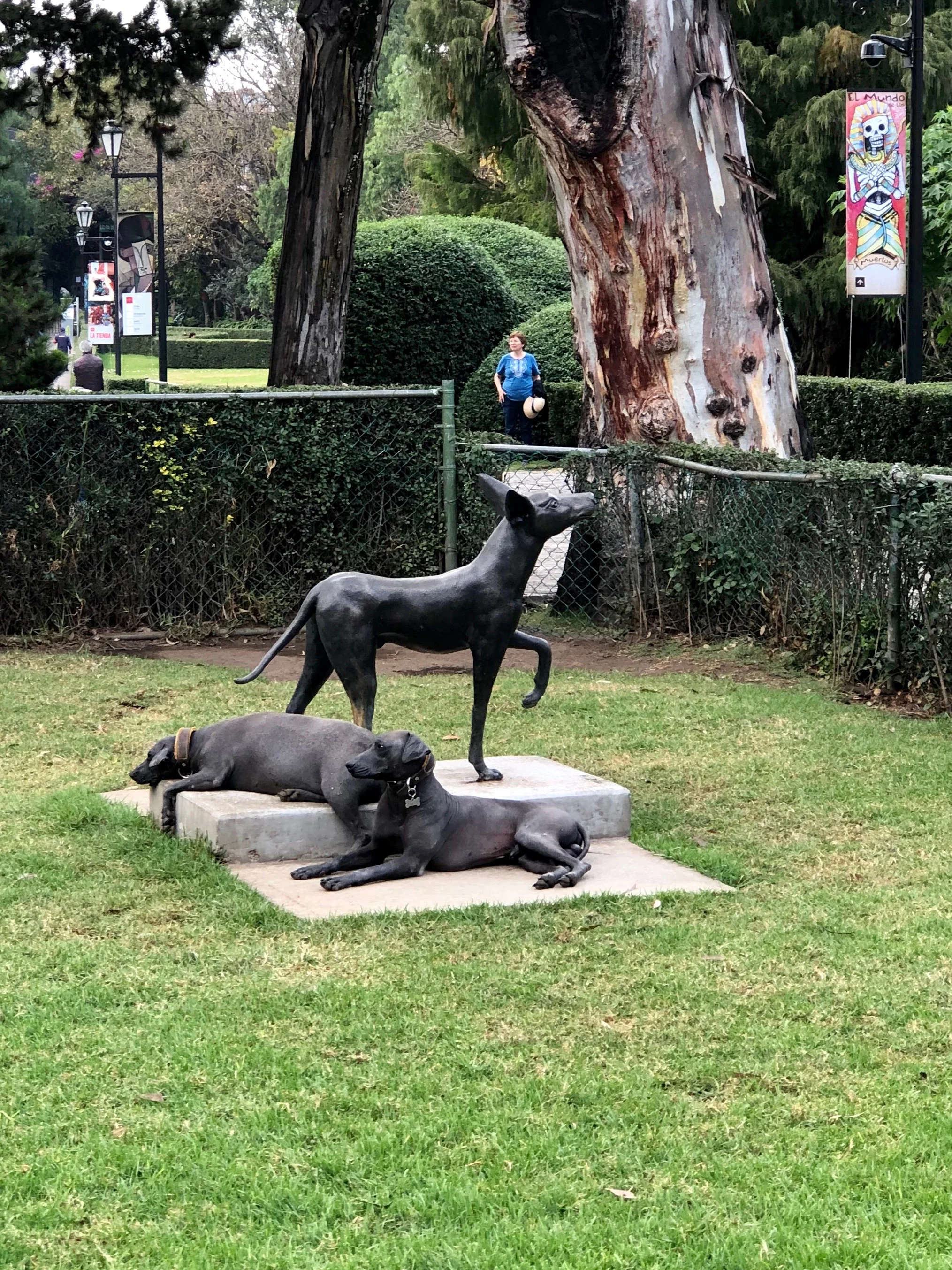 Doña Lola was fond of Xolo, or Mexican hairless dogs. Dante, the pup from Coco, is one of this breed