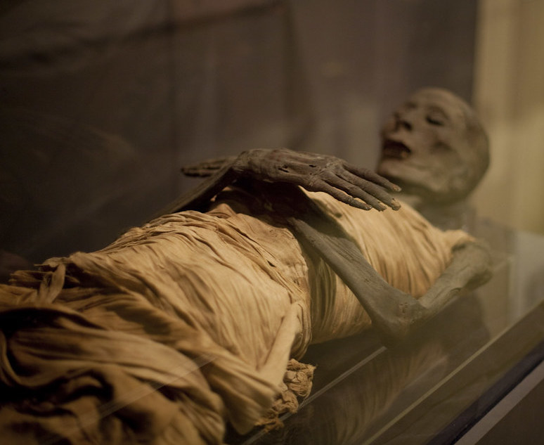 Ancient Egypts Mummification Process Explained 