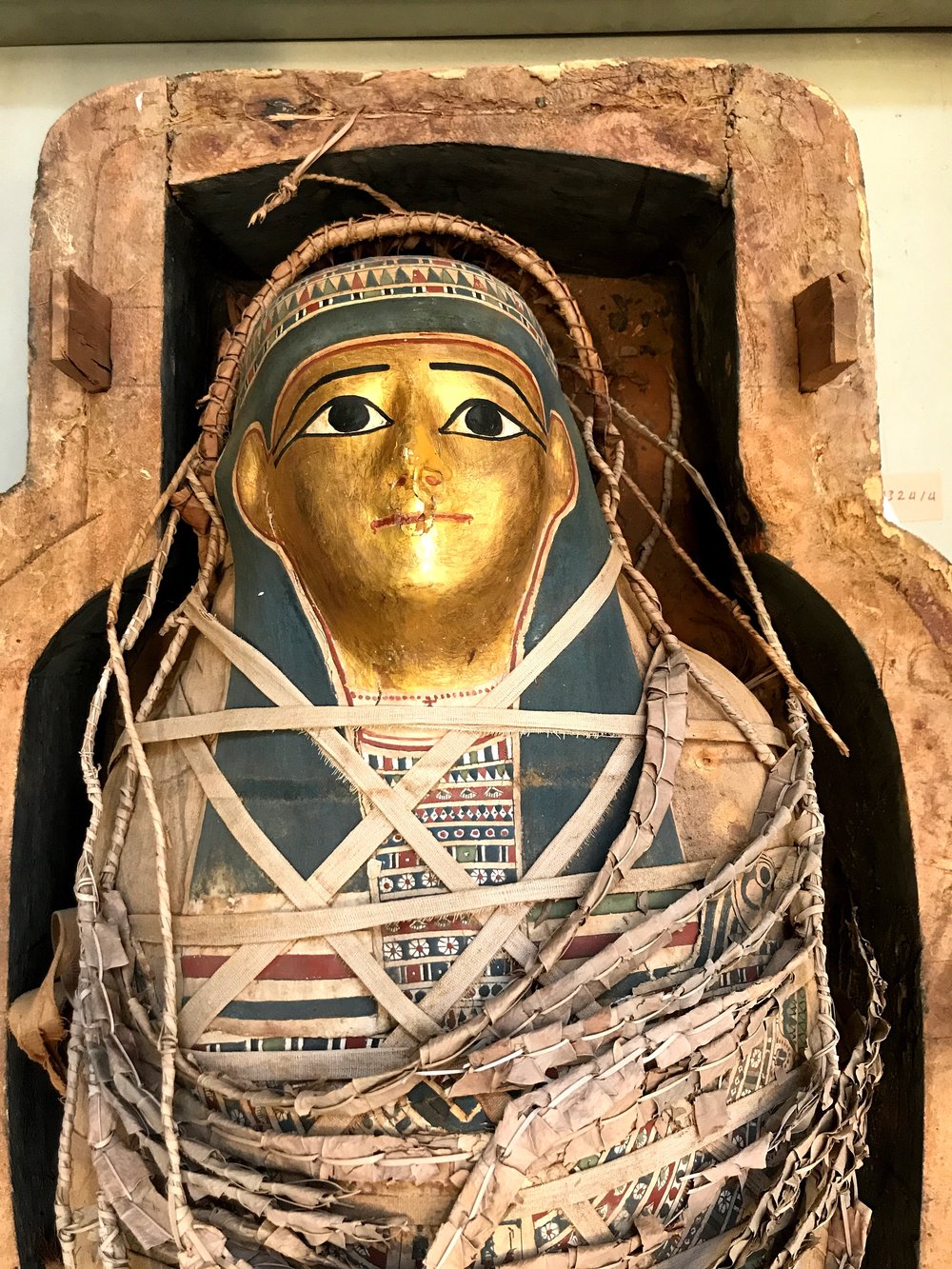 Ancient Egypts Mummification Process Explained