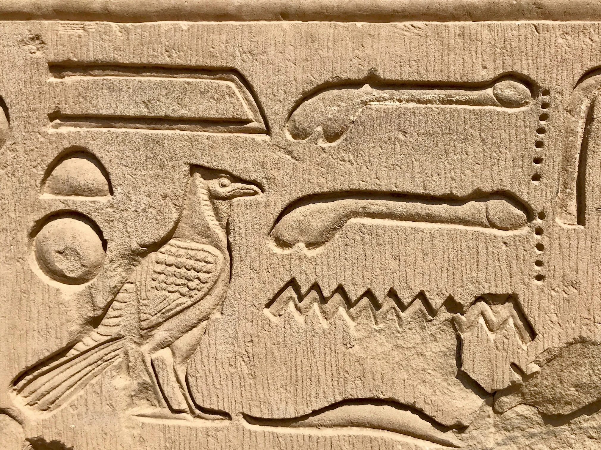 Notice the dripping penises: Mamduh told us this was a symbol of STDs, which were treated here