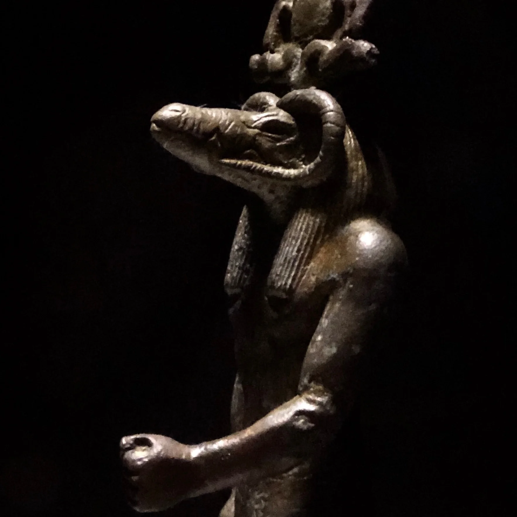 sobek.jpg