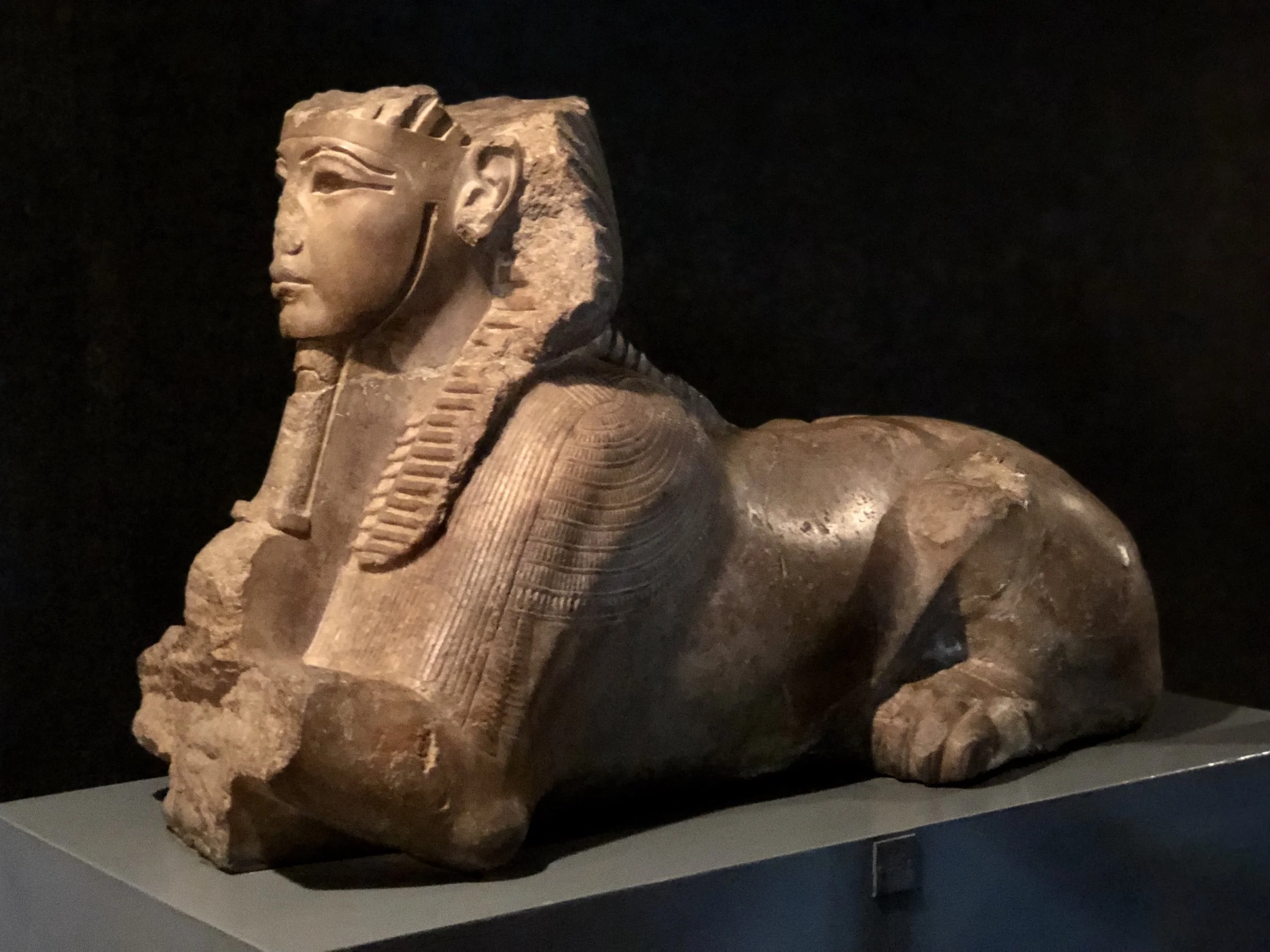 A sphinx bearing the head of Tutankhamun at the Luxor Museum